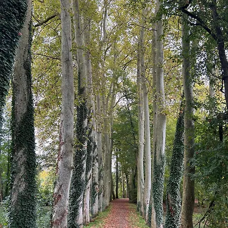 Walk Into Town From A Quiet With Private Deck Bassoues